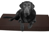 Sapphire Collection Orthopedic Dog Bed Memory Foam Pet Dog Bed Mattress with water resistant Cover (48 x 36" x 3" (120 x 90 x 7.5cm), Brown)