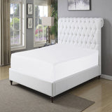 Sapphire Collection TC300 Egyptian Cotton Fitted sheet